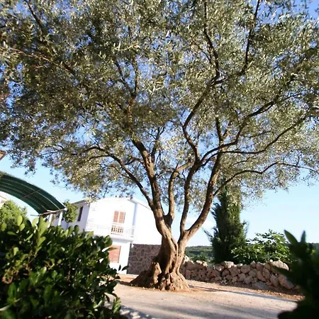 Apartment One-bedroom Near Sea 6