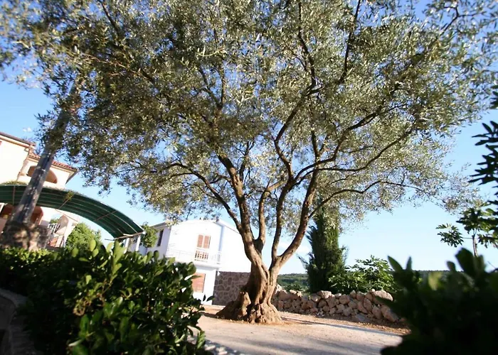 Daire One-bedroom Near Sea 6
